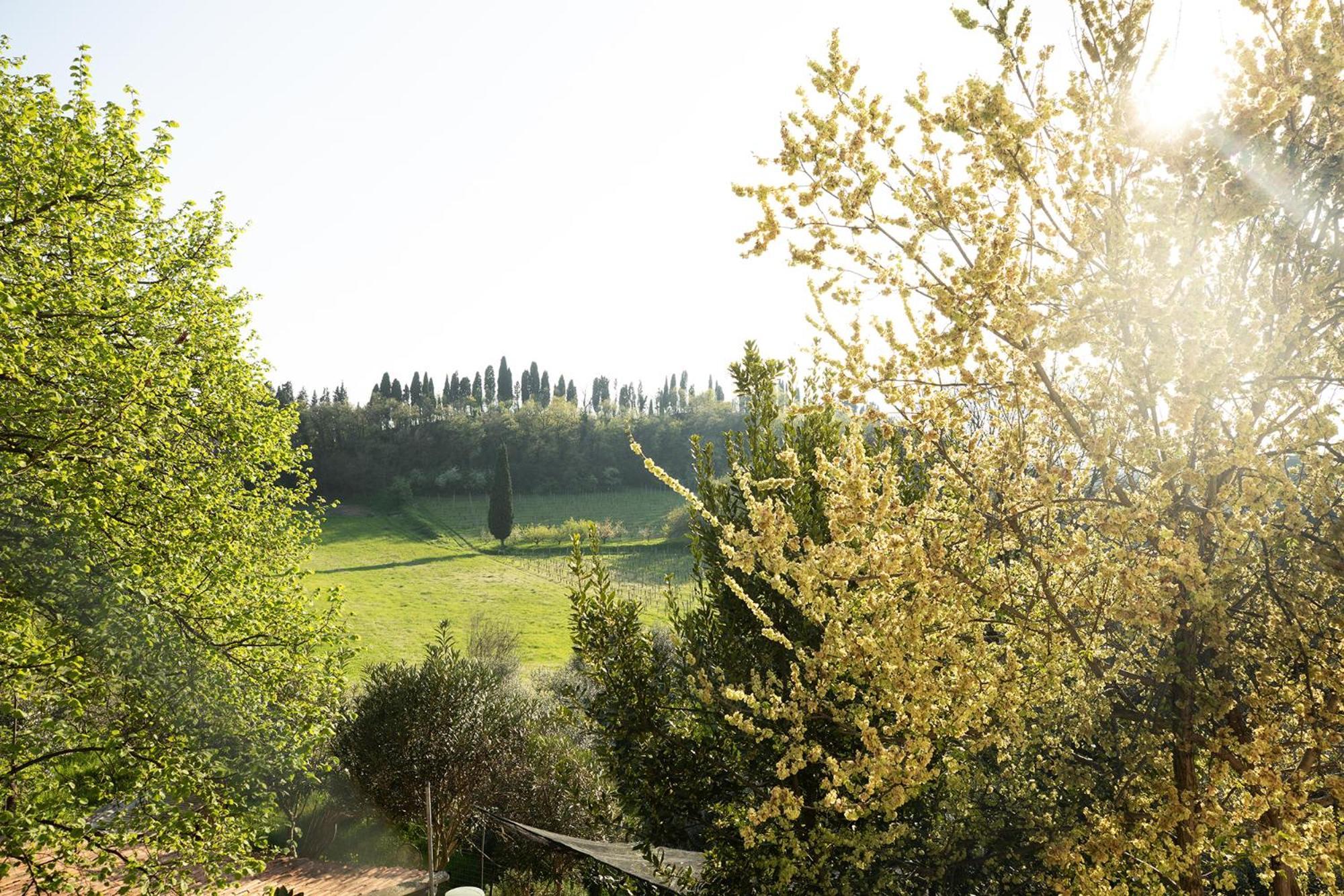 Relais La Rocca Solferino Bed and Breakfast Buitenkant foto