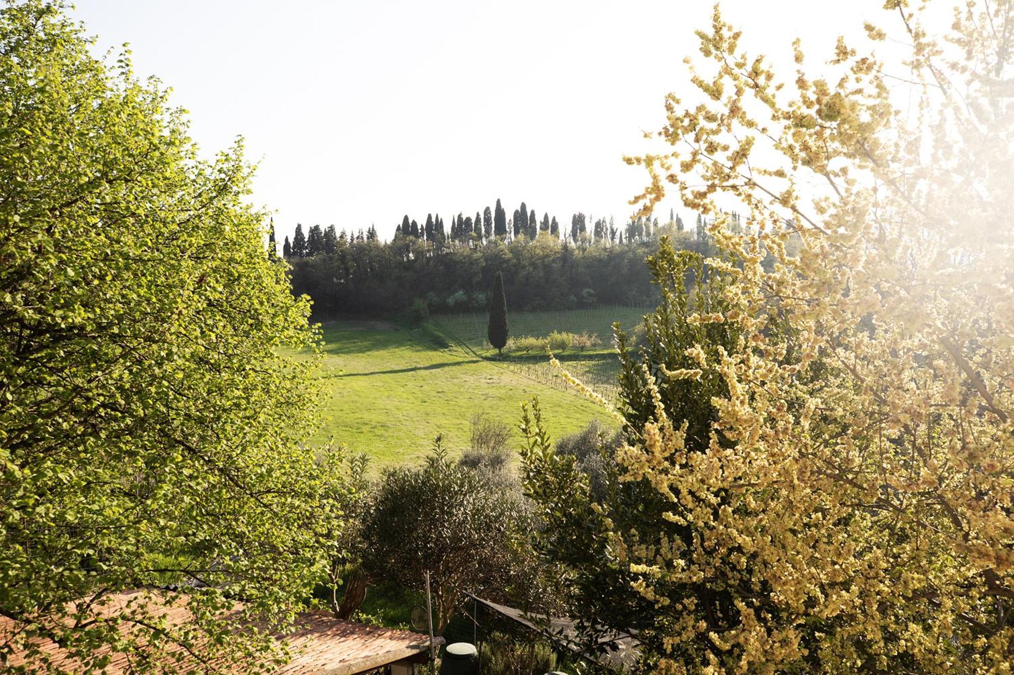 Relais La Rocca Solferino Bed and Breakfast Buitenkant foto